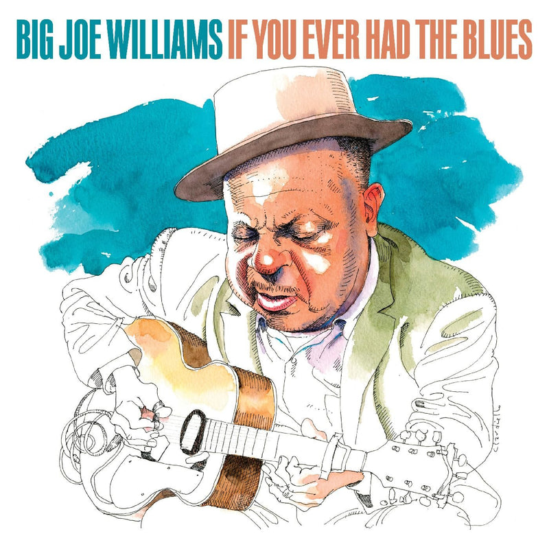 Big Joe Williams - If You Ever Had The Blues