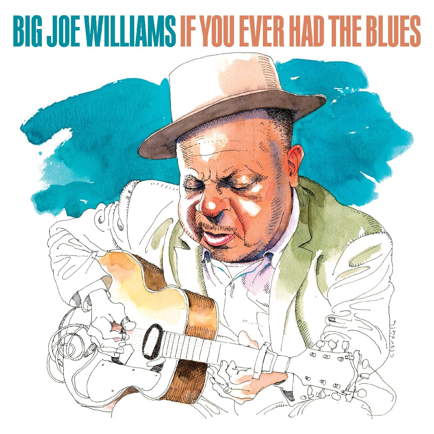 Big Joe Williams - If You Ever Had The Blues