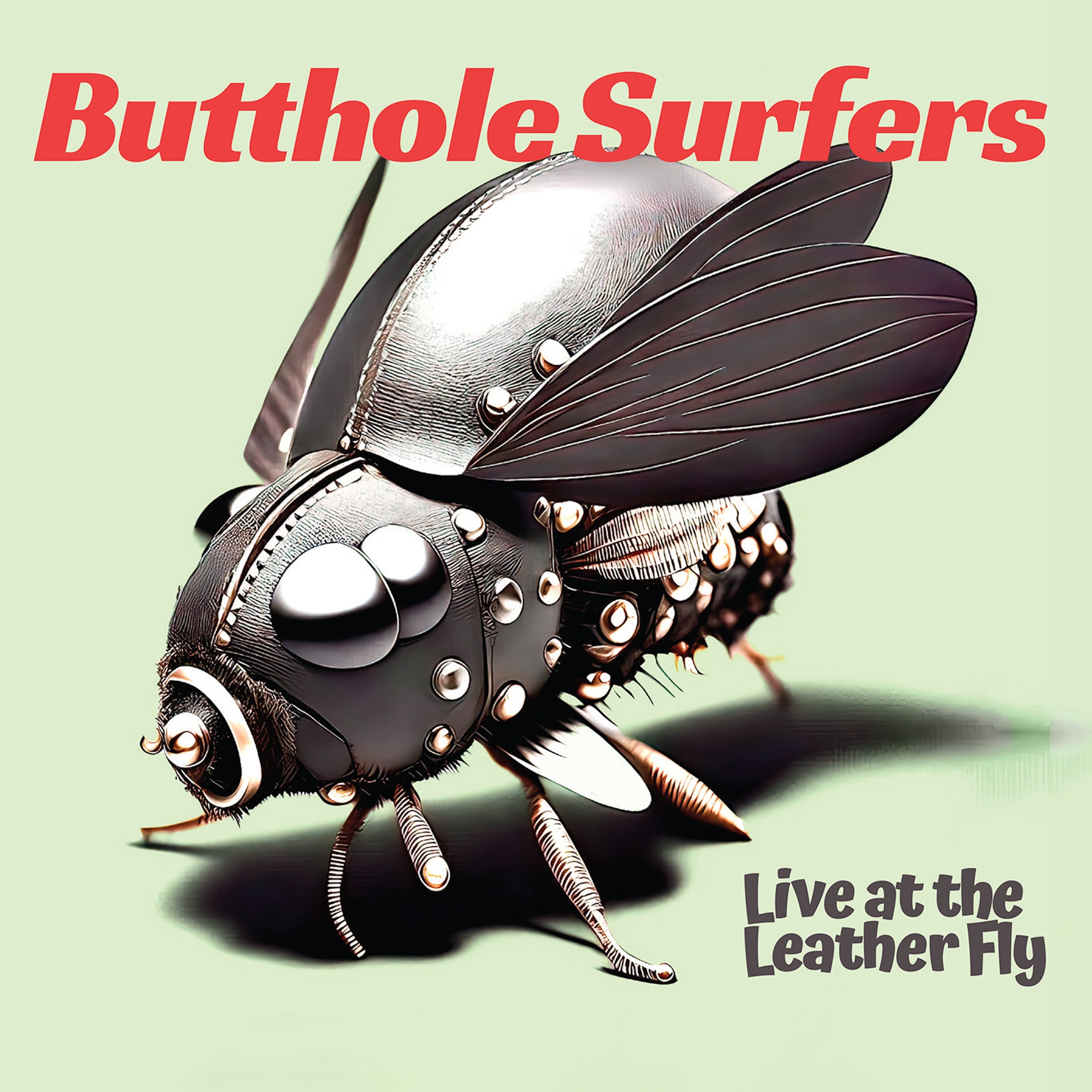 Butthole Surfers - Live at the Leather Fly